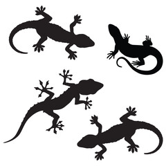 Naklejka premium Gecko Silhouette, Gecko Vector Silhouette, Gecko cartoon Silhouette, Gecko illustration, Gecko icon Silhouette, Gecko Silhouette illustration