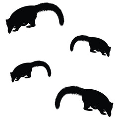 Coati Silhouette, Coati Vector Silhouette, Coati cartoon Silhouette, Coati illustration, Coati icon Silhouette, Coati Silhouette illustration