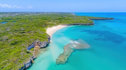 Tropical Beach Aerial View