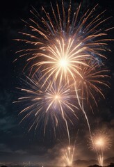 Bright fireworks bursting in the sky at night, explosion, fireworks display