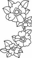 Floral Illustration Line Art