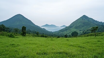 Fototapeta premium Serene Mountain Grassland