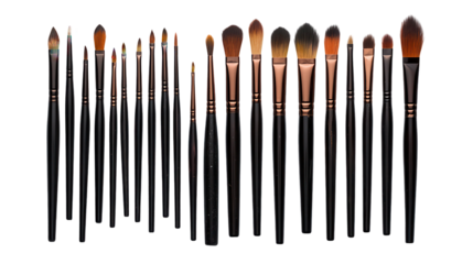 A collection of various makeup brushes lined up for artistic beauty applications. transparent background