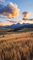 Golden Wheat Field Sunset Dramatic Mountain Range View. AI Generated