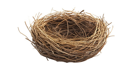 Empty bird nest isolated on a white background