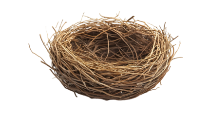 Empty bird nest isolated on a white background