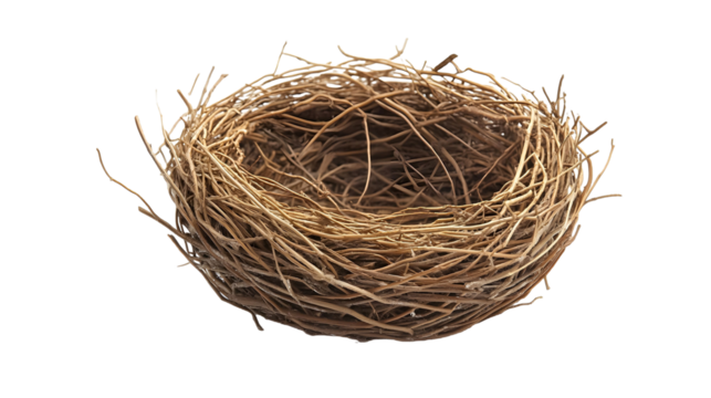 Empty bird nest isolated on a white background