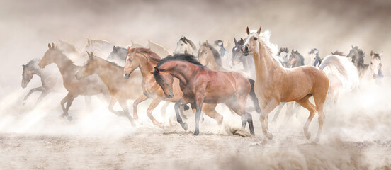 Horse herd run in desert