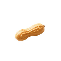 Single Peanut in Shell Close Up Studio Shot Brown Beige food crop ripe snack plant image macro earth