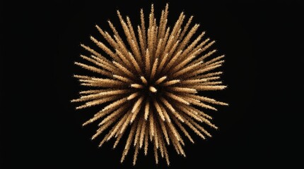 Golden Firework Burst