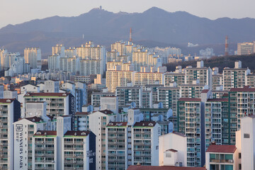 창문,지붕,아파트,장안구,수원시,경기도