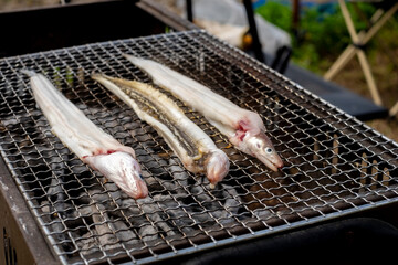 アナゴを炭火で焼く