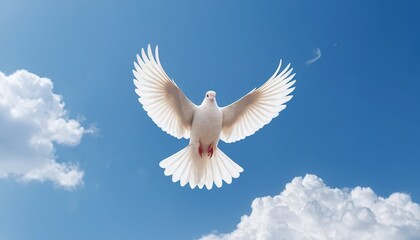 Obraz premium White dove soaring in a clear blue sky filled with fluffy white clouds.