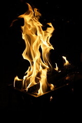 Fototapeta premium Dancing Flames Fiery Combustion of Firewood