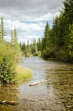 Clear river flowing through lush greenery under cloudy sky in Canmore