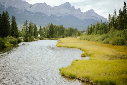 Policeman's Creek flowing through meadows with mountains in Canmore