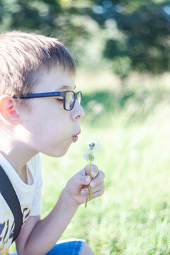 Blowing the dandelion in the forest