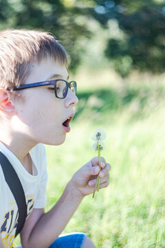 Blowing the dandelion in the forest