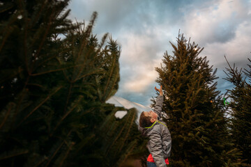 Young boy reaching for Christmas tree on cloudy day