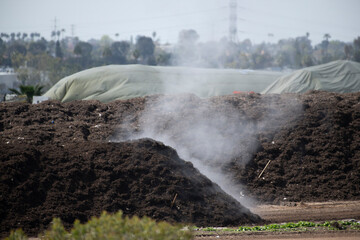 steam rises from a row of organic compost at a commercial facility