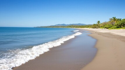 Fototapeta premium Tranquil Tropical Beach Scene