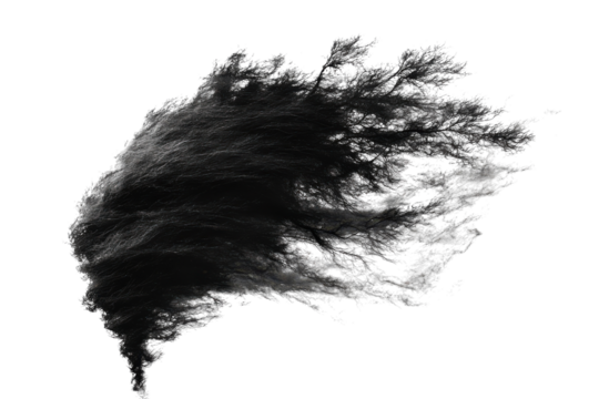 Abstract representation of flowing black hair against a white background highlighting movement and texture