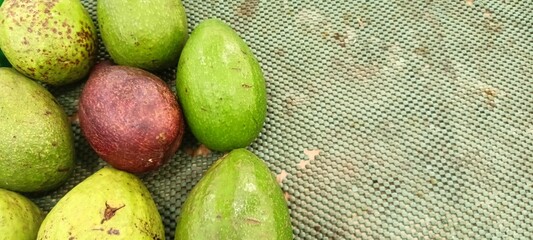 Ripe and green avocados on supermarket shelves