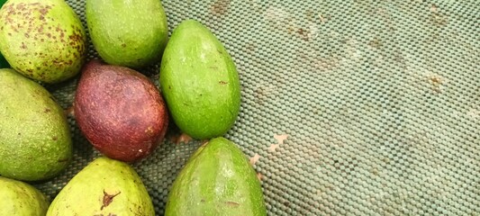 Ripe and green avocados on supermarket shelves