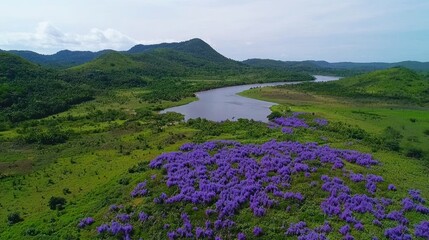 Purple wildflowers by the lake