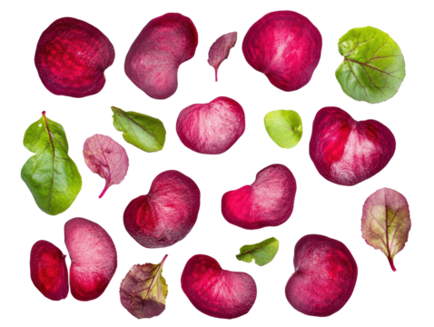 Isolated Beetroot Slices and Leaves Pattern
