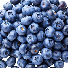 lots of blueberries on white background