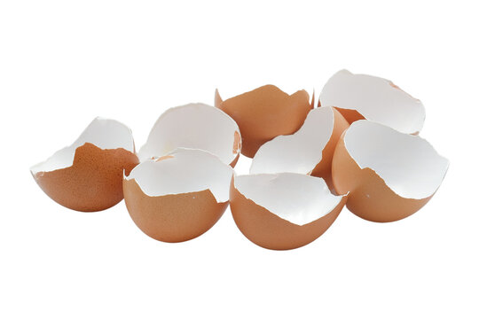 Broken eggshells scattered on a surface. transparent background