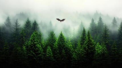 Fototapeta na wymiar Eagle soaring above misty mountain forest; nature, serenity