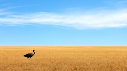 Bird in a Golden Wheat Field