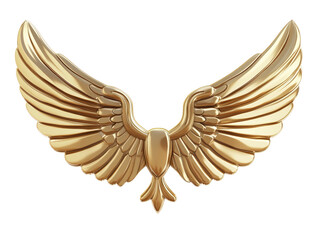 Obraz premium Isolated Golden Wings Design