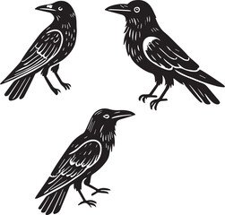 Crow vector in black and white