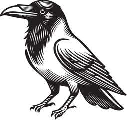 Crow vector in black and white