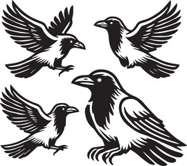 Crow vector in black and white