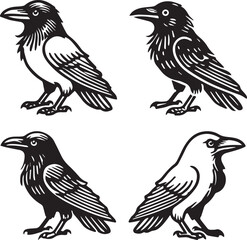 Crow vector in black and white