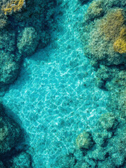 Fototapeta premium seamless texture of crystal-clear pool water