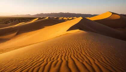Golden Dunes of the Desert at Sunrise