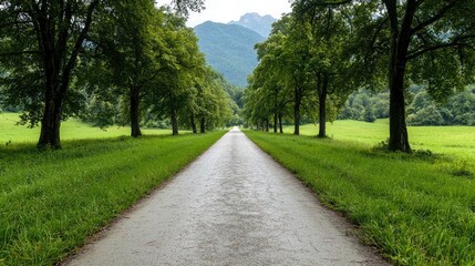 Fototapeta premium Serene country road lined with trees leading to mountains. Perfect for travel brochures
