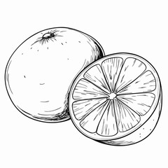 Black and white illustration of whole and sliced orange