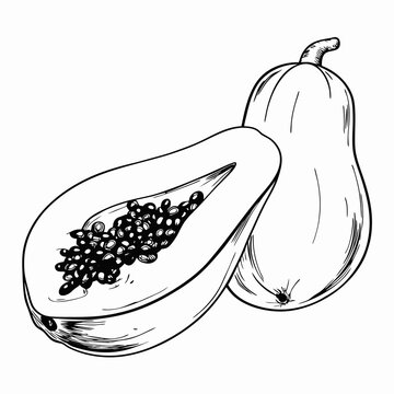 recommend clip art: Black and white illustration of whole and sliced papaya