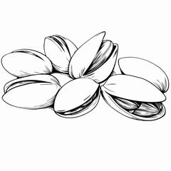 Black and white illustration of pistachios in their shells