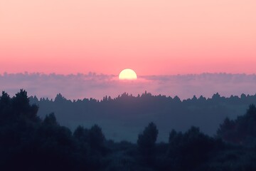Pink Sunrise Over Misty Forest Landscape