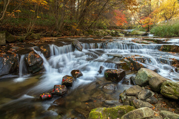 폭포,계곡,바위,단풍,낙엽,진조리계곡,봉평면,평창군,강원도