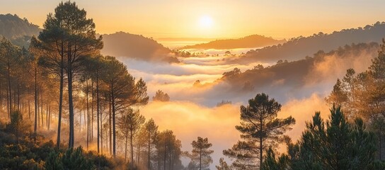 Fototapeta premium Sunrise over misty mountain forest. Peaceful nature scene. Scenic wallpaper