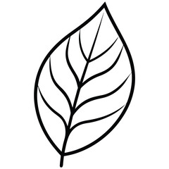 Charm Leaf Vector art Illustration Design for natural content