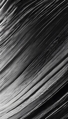 Abstract black and white image with flowing lines resembling waves or fabric.